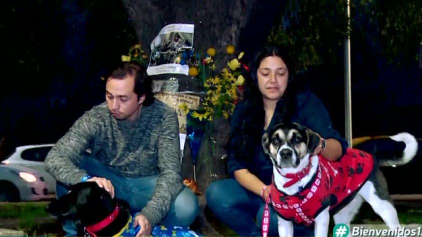 Carlitos falleció y sus perros quedaron abandonados