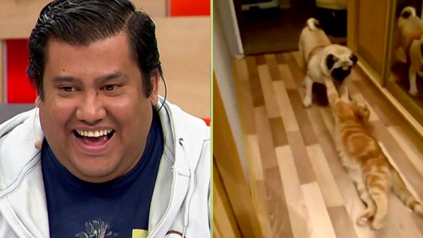 Nachito Pop nos trajo las noticias más increíbles a BV