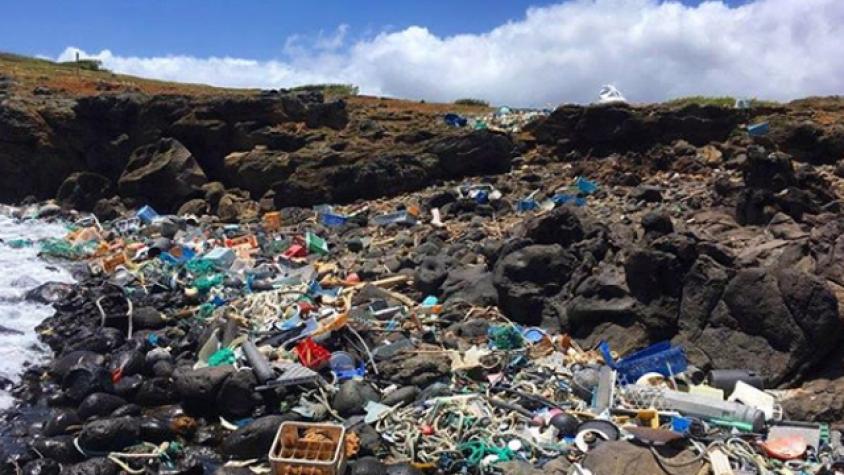 Crece preocupación por la cantidad de plástico en el mar
