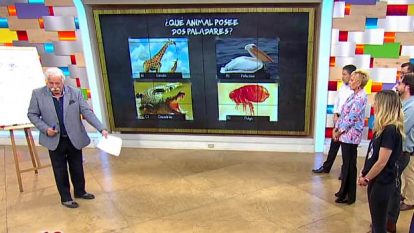 Iván nos trajo una trivia de conocimiento sobre los animales