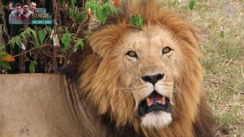 Jorge disfrutó junto a los Samburu de toda la biodiversidad de África 