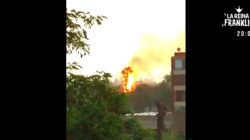 Así quedó la palmera que se quemó con un rayo