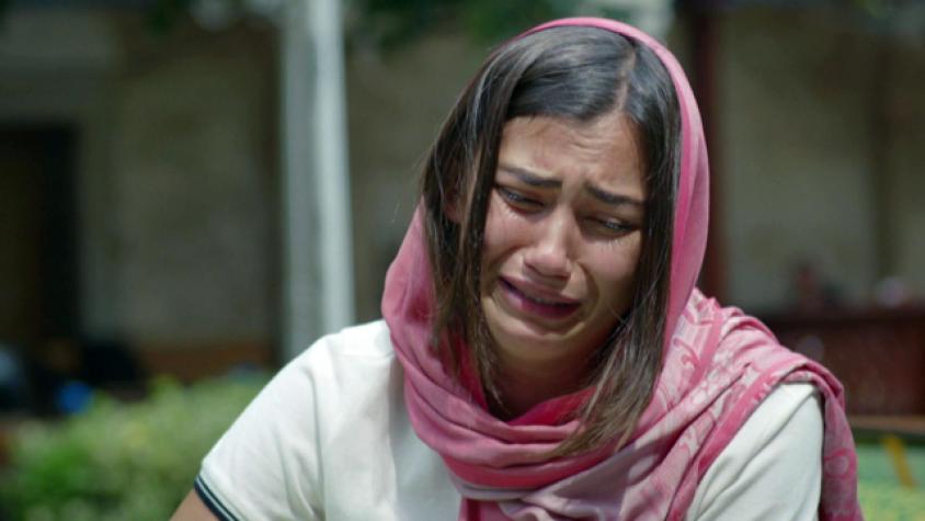 Meral confesará que se dejó llevar por la ambición