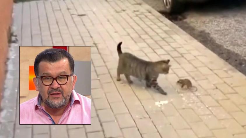 Carlos Zárate nos sorprendió con videos y curiosidades de animales