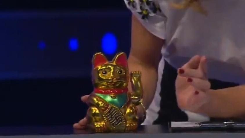 ¡El gatito de la suerte ayudó a Francisca!