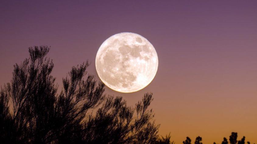 José Maza nos habló de los fenómenos astronómicos del  2019 