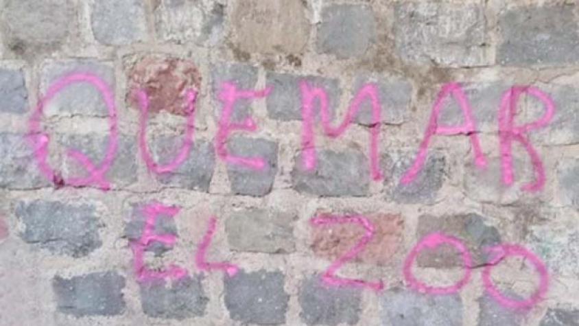 Incendio en Cerro San Cristóbal podría haber sido intencional