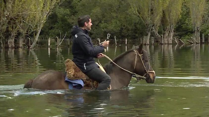 Pancho cruzó a caballo profundo río para encontrar ganado