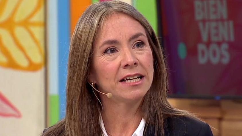 Ministra de Energía se refiere a polémica por nuevos medidores de luz