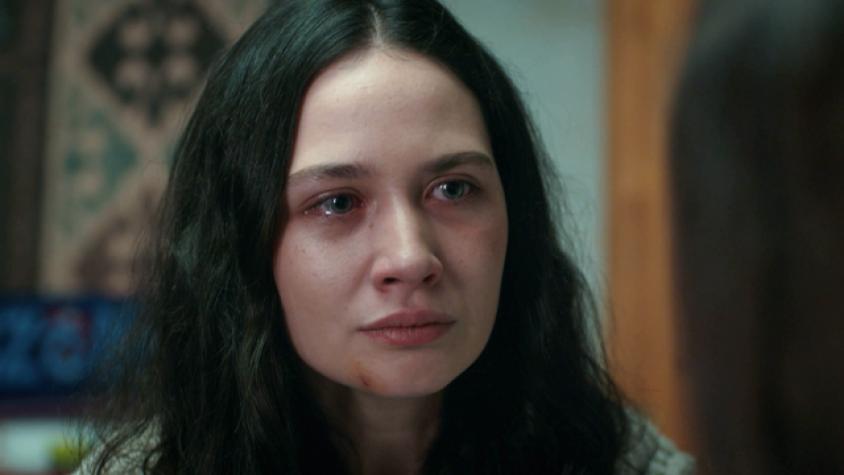 El nombre de “pájaro viajero”