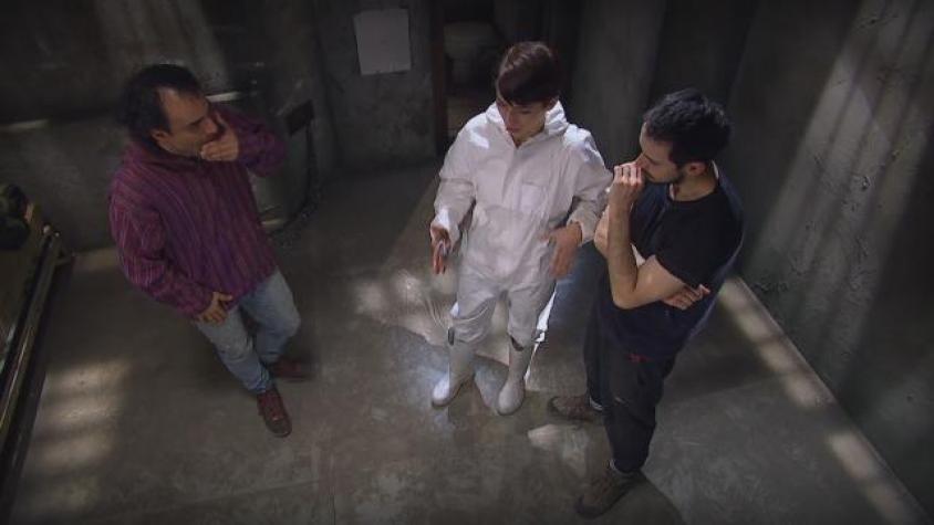 Manuel, Rosario y Alberto divididos por estado de Concepción