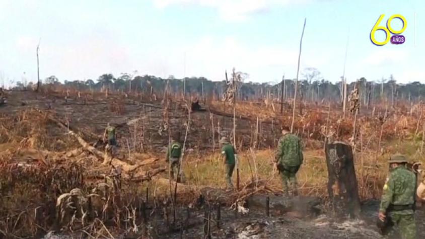 Crimen ambiental: se quema el pulmón verde del mundo 