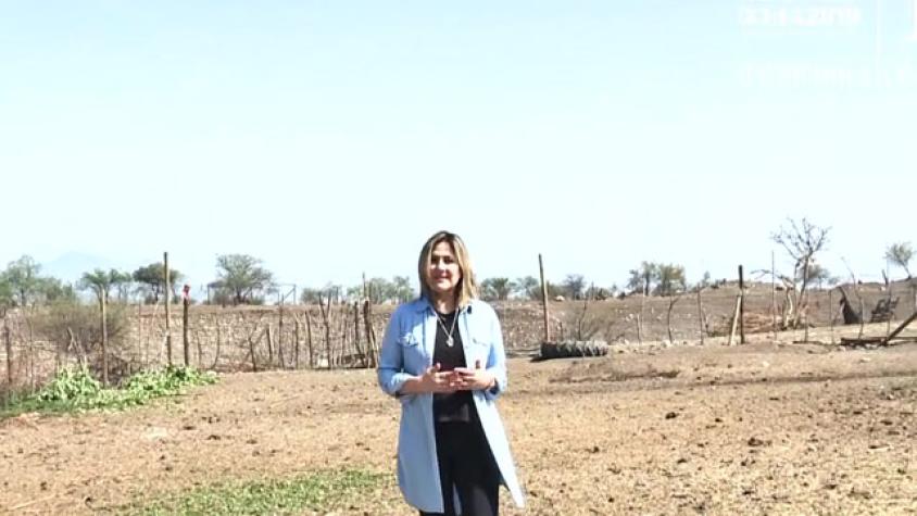 Michelle recorrió Peldehue, donde no hay agua y ven morir a sus animales