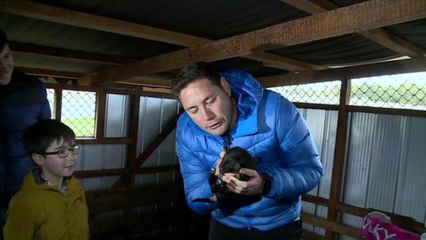 Conoce el cachorro que se tomó el corazón de Pancho