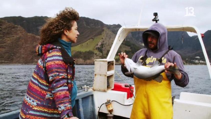 Chilenos cambiando el clima / Cap 2 / Océanos 