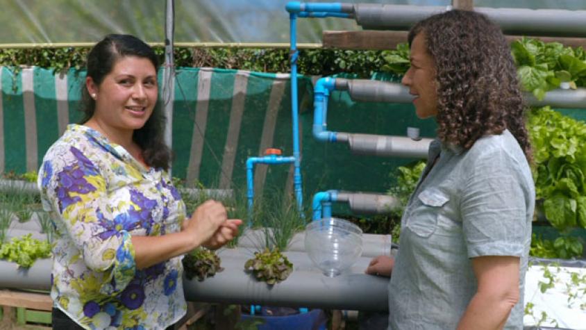 Chilenos cambiando el clima / Cap 4 / Eficiencia Hídrica 