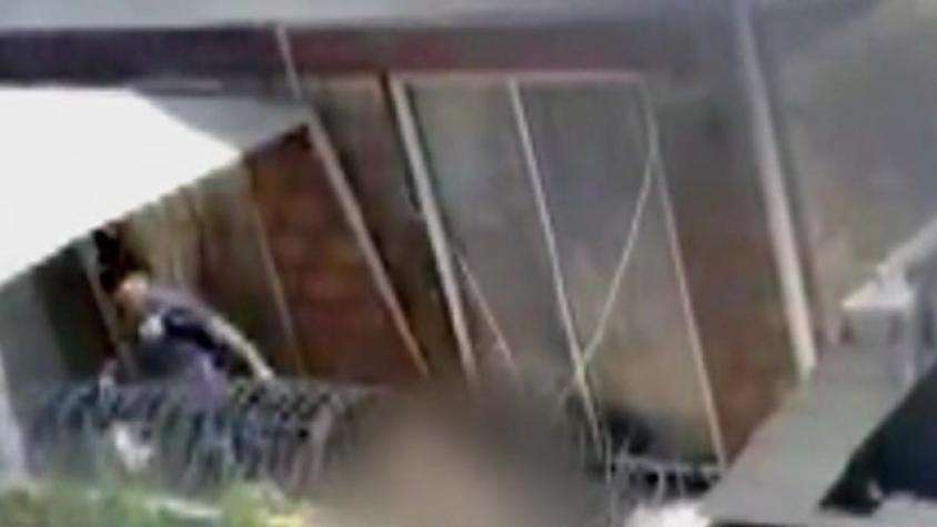 Impactante caso de maltrato animal en Puente Alto