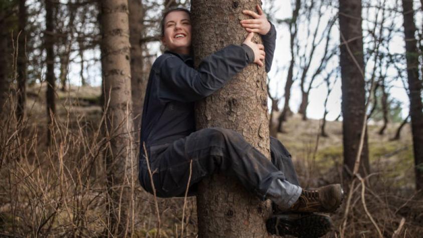 En Islandia recomiendan abrazar árboles para calmar sensación de aislamiento