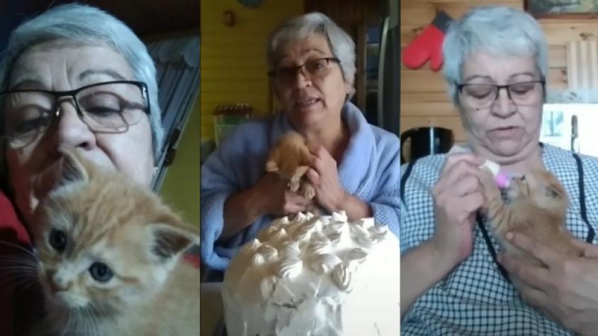 Abuelita chilena cautiva en TikTok con videos junto a sus mascotas