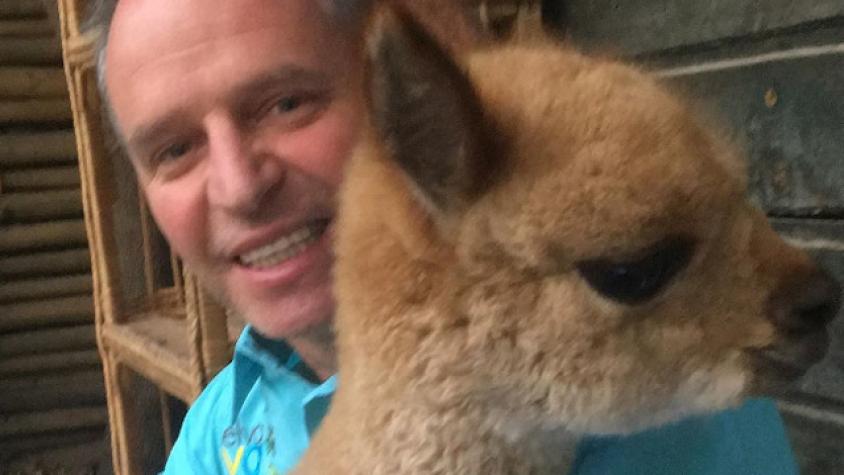 “Bichólogo” Alfredo Ugarte adopta una alpaca y le crea cuenta en Instagram