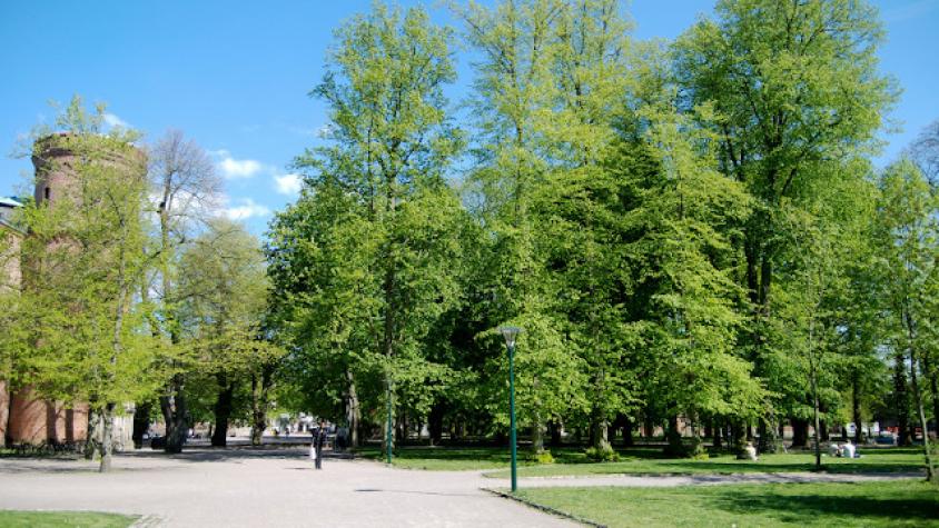 Suecia: Esparcen excremento de pollo en parques para que se respete la cuarentena