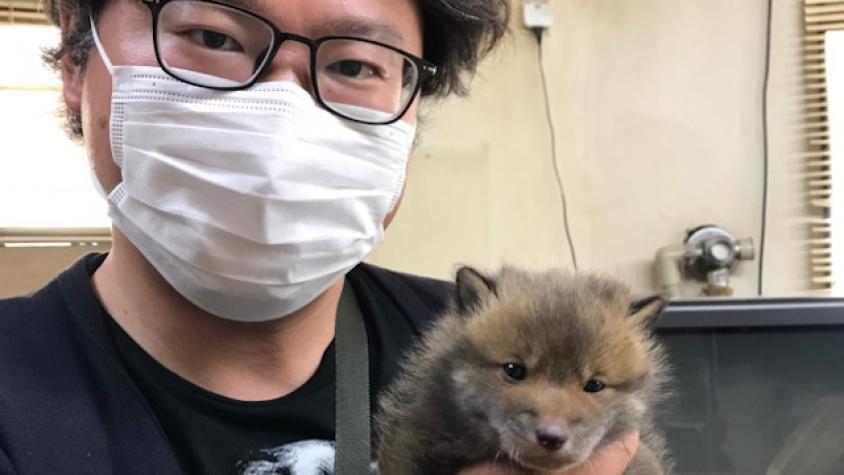 Rescate de una “perrita” se convierte en viral por impensada razón