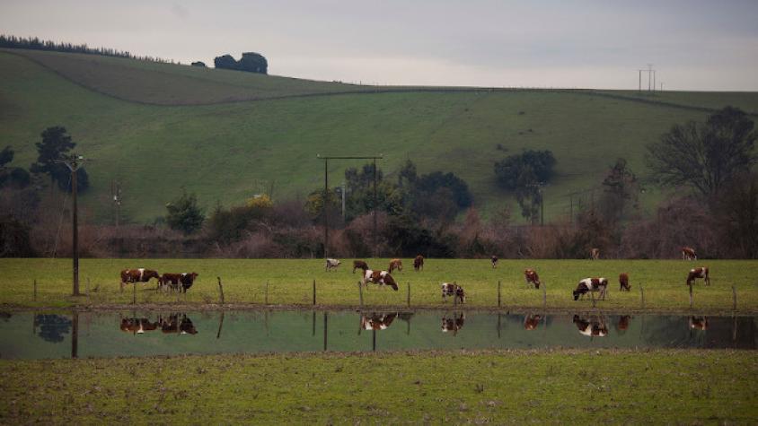 Chile agota sus recursos naturales renovables disponibles para este 2020