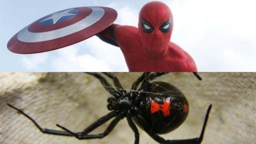 Hermanos se dejaron picar por araña para convertirse en Spider-Man