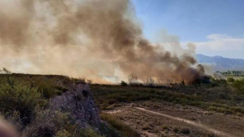 “En llamas”: asado entre amigos terminó en completo descontrol 