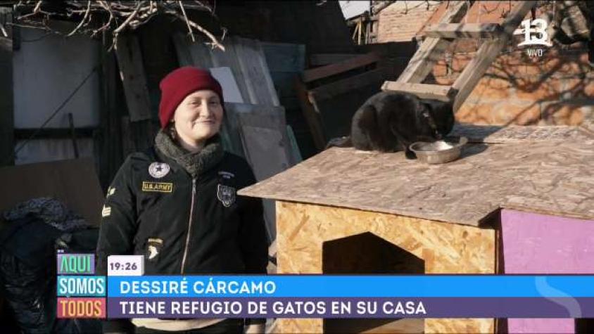Conoce a Dessiré: Convirtió su hogar en un refugio para gatos