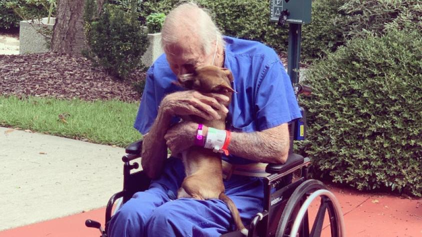 Perro salvó la vida de su dueño tras sufrir derrame cerebral