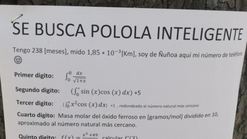 Joven de Ñuñoa busca “polola inteligente” con reto matemático