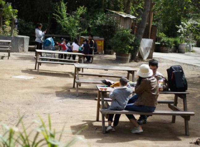 Covid-19: ¿Son los niños un gran foco de transmisiones del virus? 