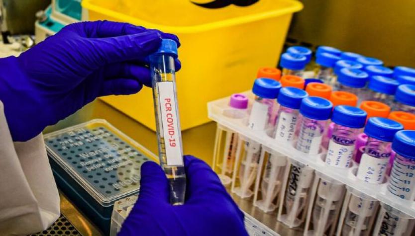 Conadi: Encuesta busca medir el impacto del Covid-19 en comunidades indígenas de Arica