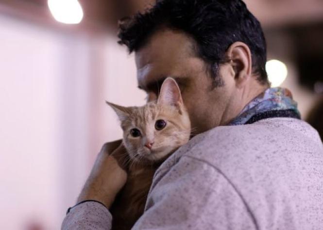 Covid-19: Estudio confirmó transmisión de humanos a gatos