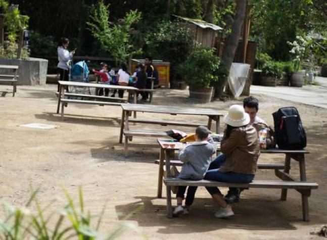 Vacaciones progresivas: así puede agregar días a su descanso