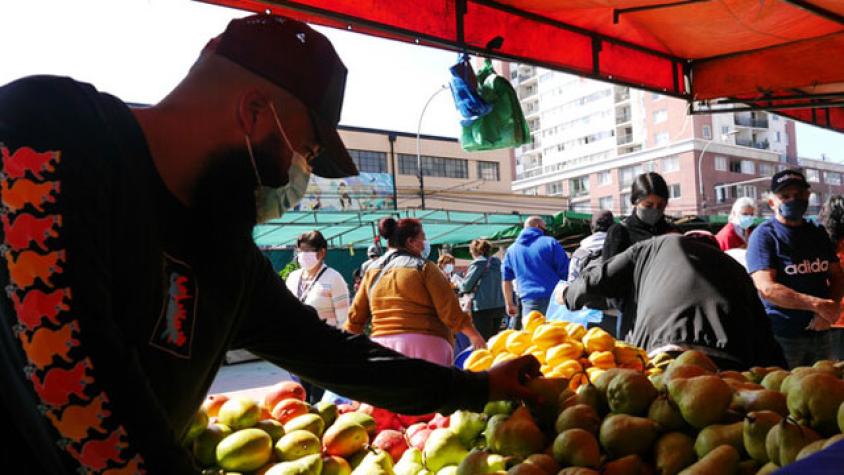 La Feria Libre en tu casa: Lanzan listado de feriantes con despacho a domicilio