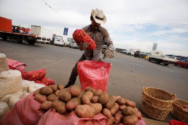 De esta forma trabajará el Mercado Lo Valledor este fin de semana