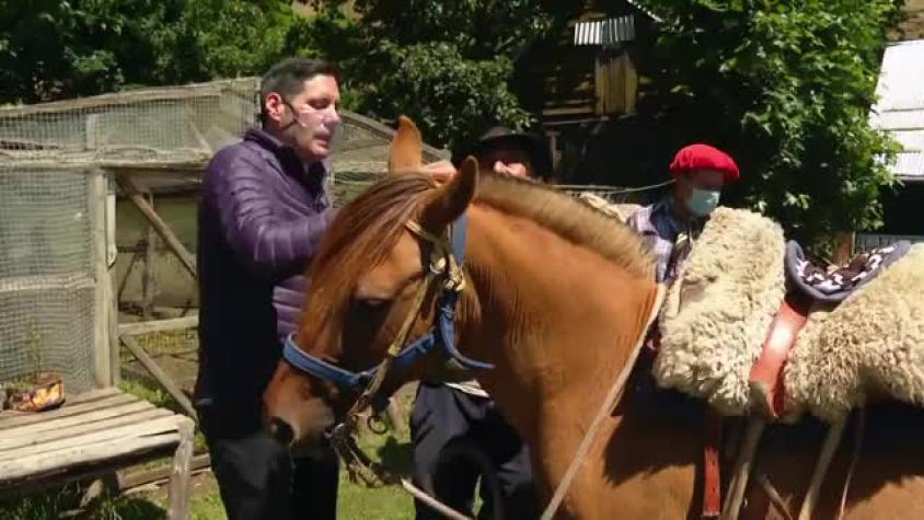 Pancho Saavedra debutó a cargo del tusado de caballos