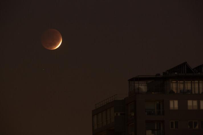 Eclipse lunar: así se vivió el fenómeno en Chile