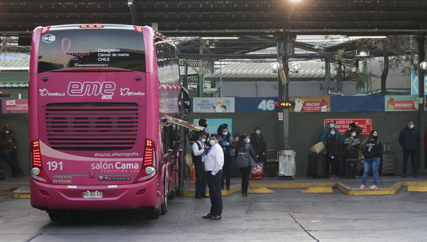 Pasaporte sanitario: así puedes obtener el documento para viajes interregionales