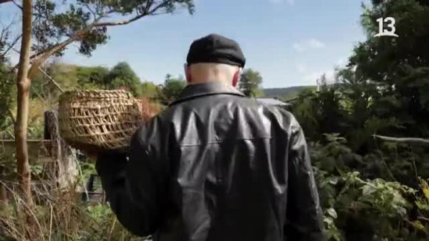 Marcelo Cicali visitó cocinería ecológica y recolectó papas chilotas 