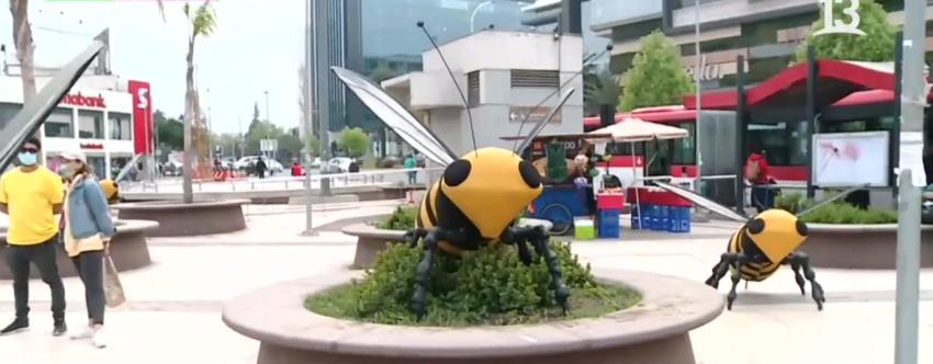 ¿Por qué 19 abejas aparecieron sorpresivamente en Plaza Egaña?