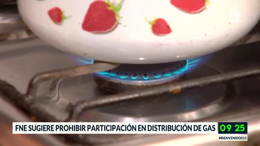 FNE sugiere prohibir participación de tres empresas en distribución de gas