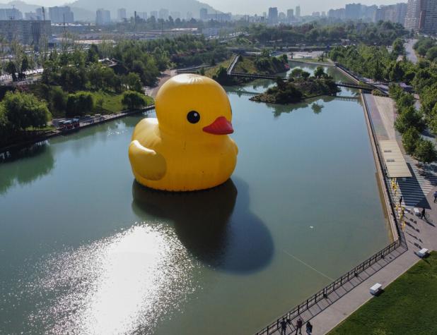 Pato de hule gigante: ¿Qué otras ciudades del país visitará?