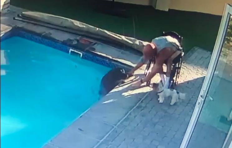 Increíble: Hombre en silla de ruedas salvó a rottweiler de morir ahogado