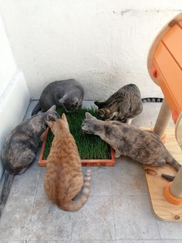 Congreso Nacional aprueba el nuevo regimen que regula donaciones a organizaciones sin fines de lucro