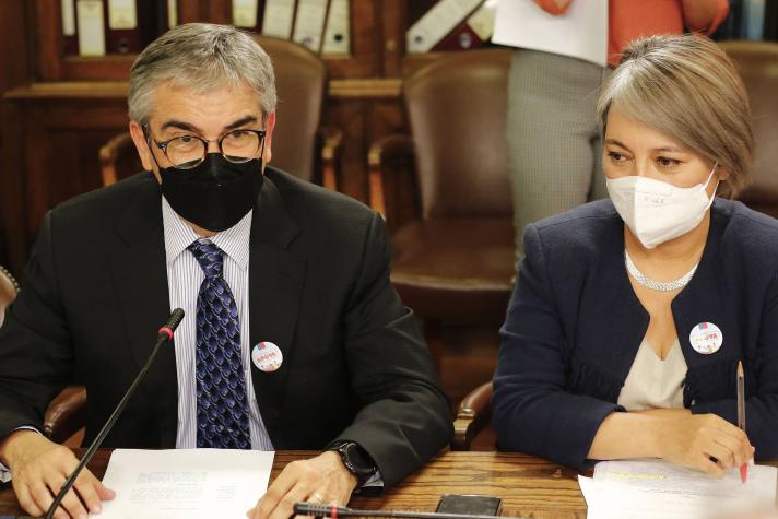 "Retiro acotado": Conoce la votación sobre el proyecto en la Cámara de Diputados