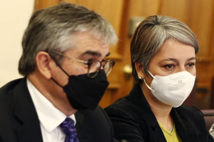 Retiro Acotado: ¿Cómo terminó su votación en la Cámara de Diputados?