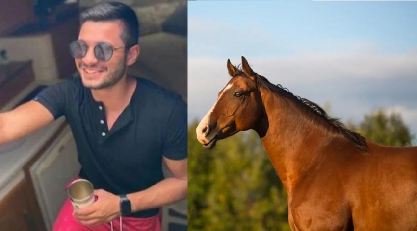 Entró borracho a una subasta, se ganó un caballo y ahora no sabe qué hacer 